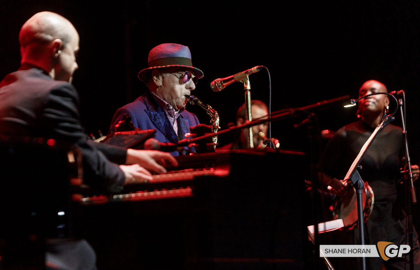 Van Morrison,Live at the Marquee,Cork, Shane J Horan, 31-05-24-14