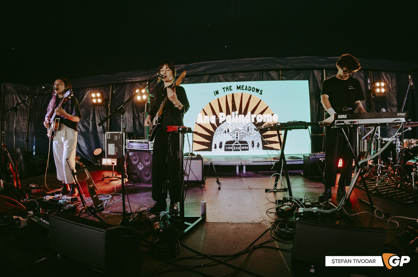 ANA PALINDROME In The Meadows 8 June 2024 Stefan Tivodar-62346