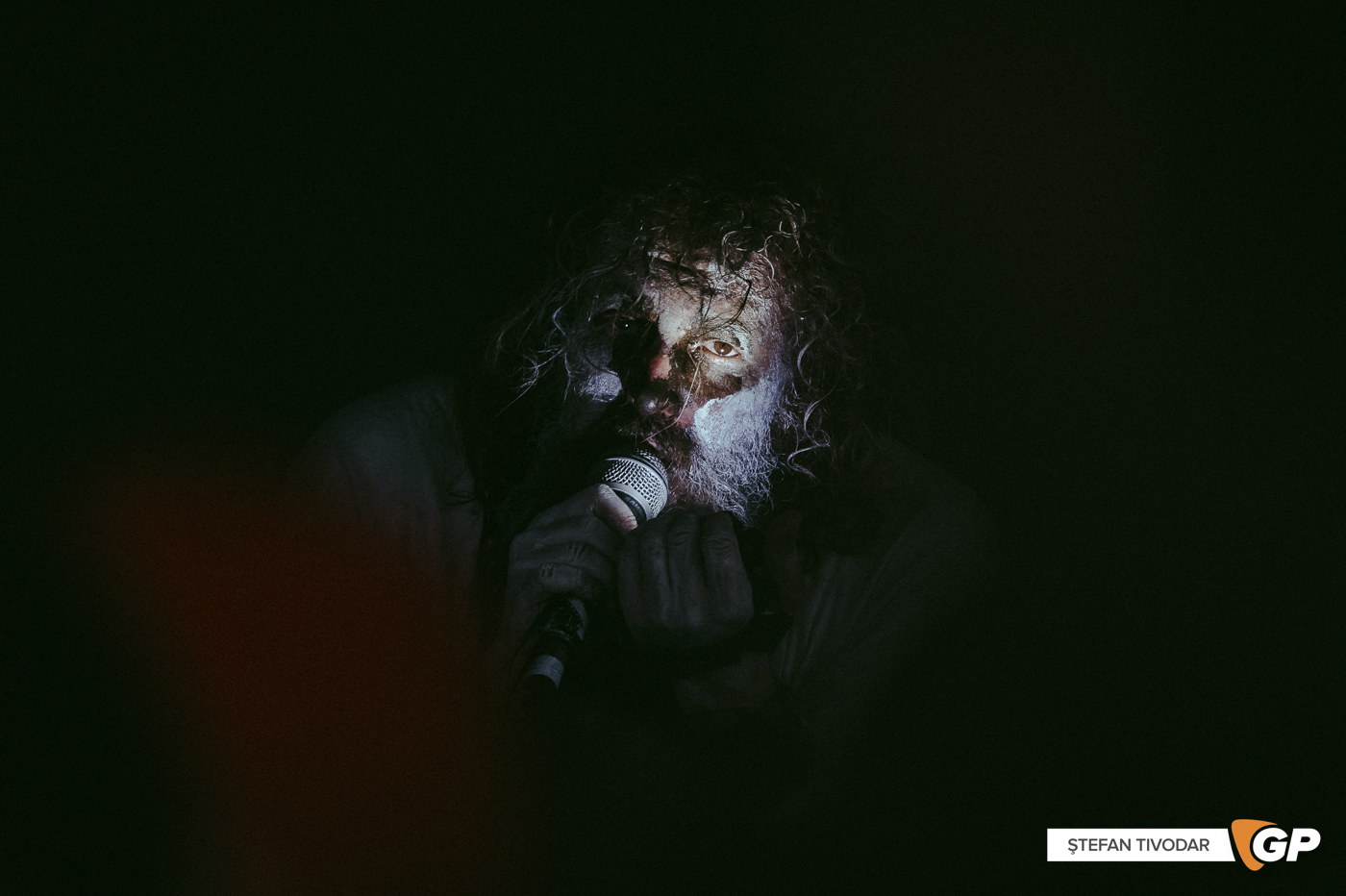 ANDY THE DOORBUM In The Meadows 8 June 2024 Stefan Tivodar-63083