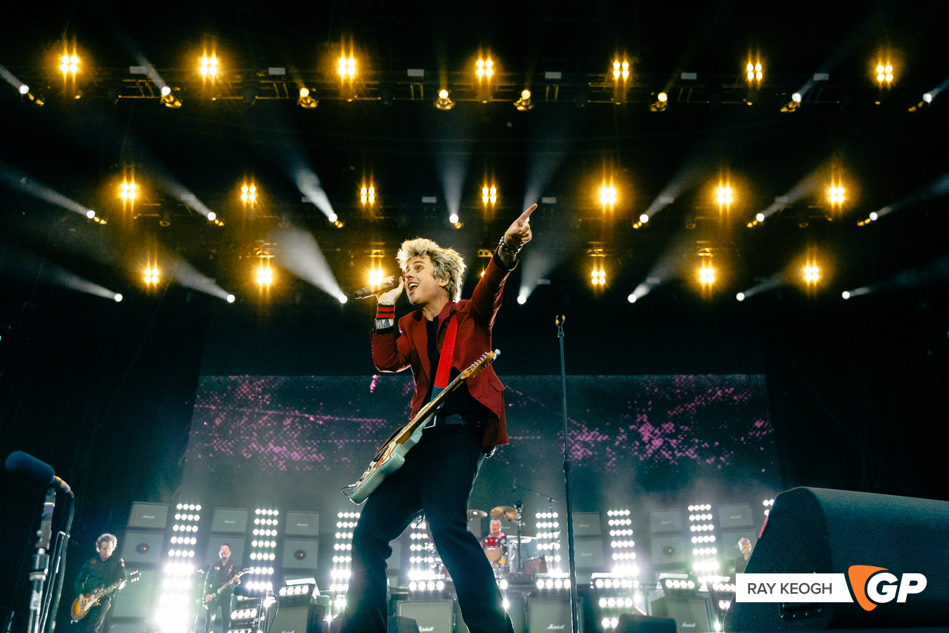 Green Day Marlay Park Photo by Ray Keogh