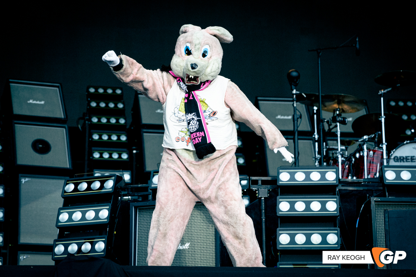 Green Day Marlay Park Photo by Ray Keogh
