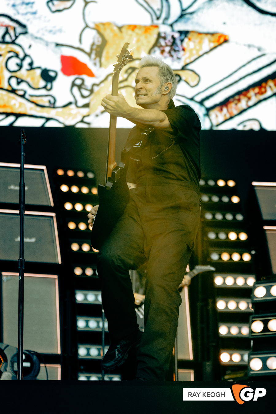 Green Day Marlay Park Photo by Ray Keogh