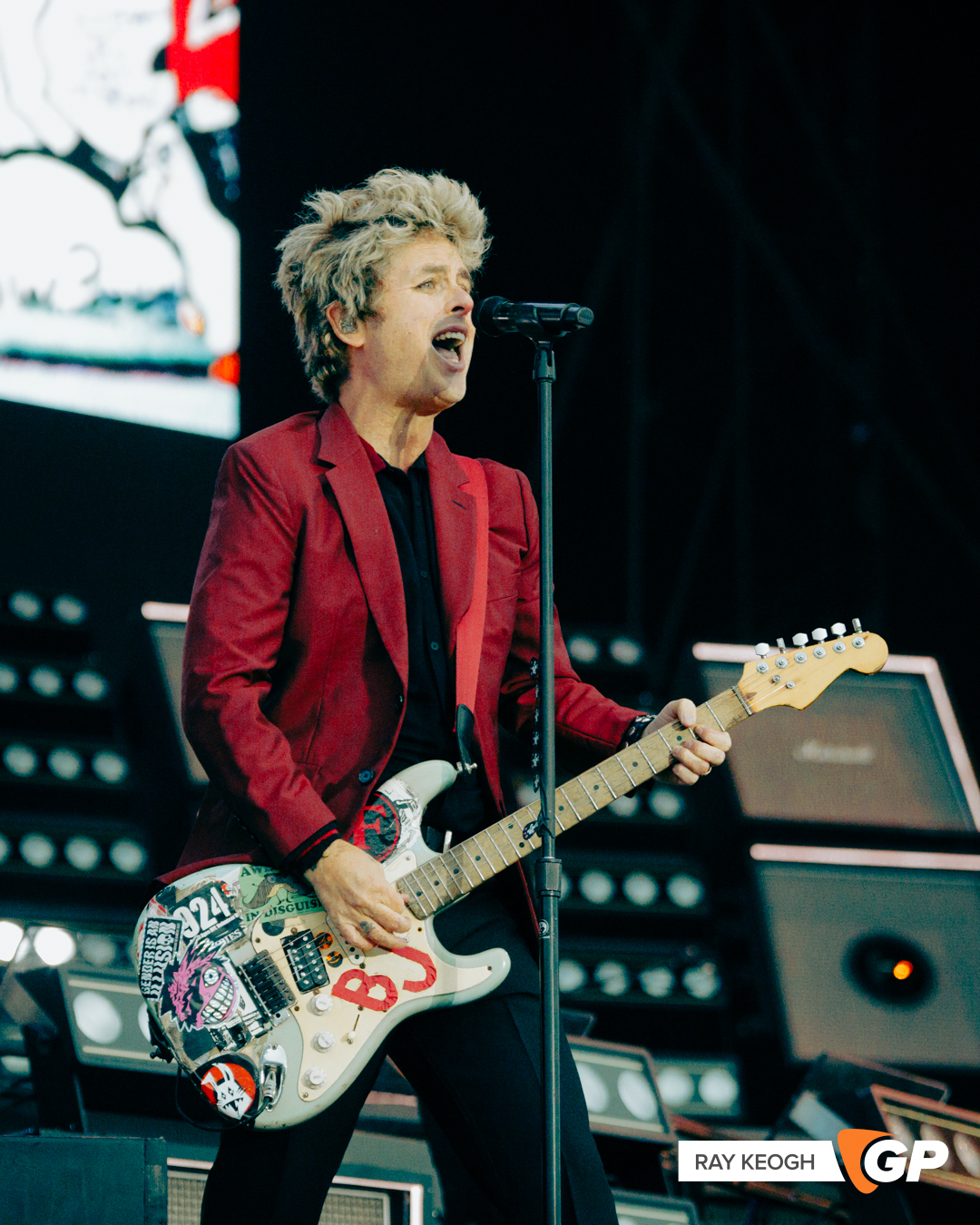 Green Day Marlay Park Photo by Ray Keogh