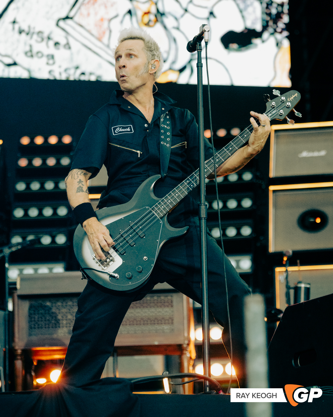 Green Day Marlay Park Photo by Ray Keogh