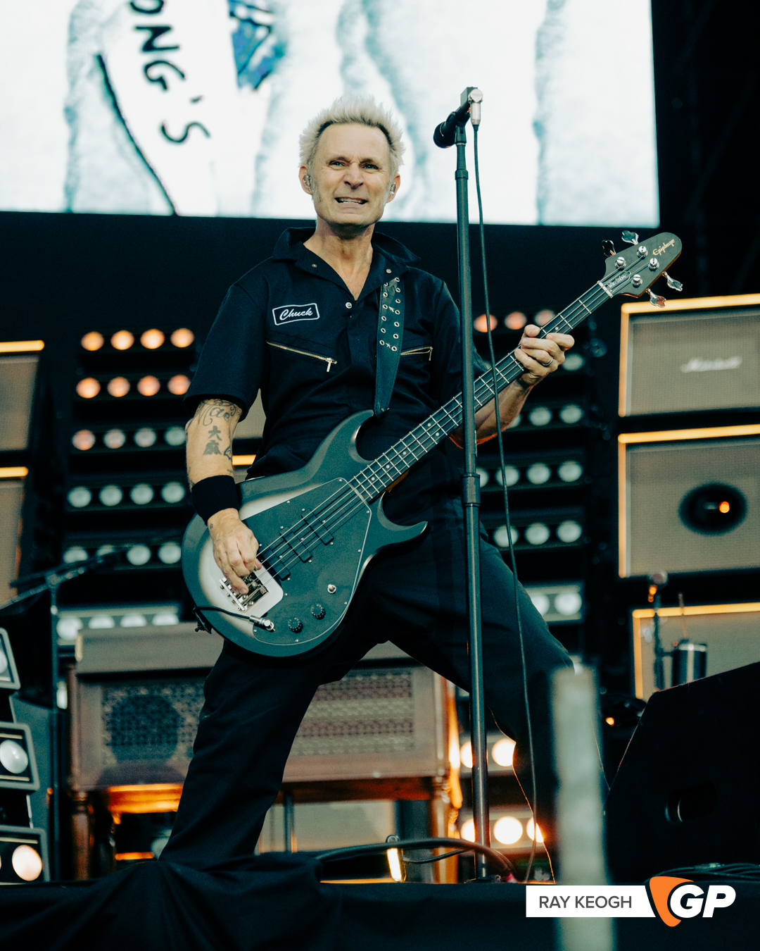 Green Day Marlay Park Photo by Ray Keogh