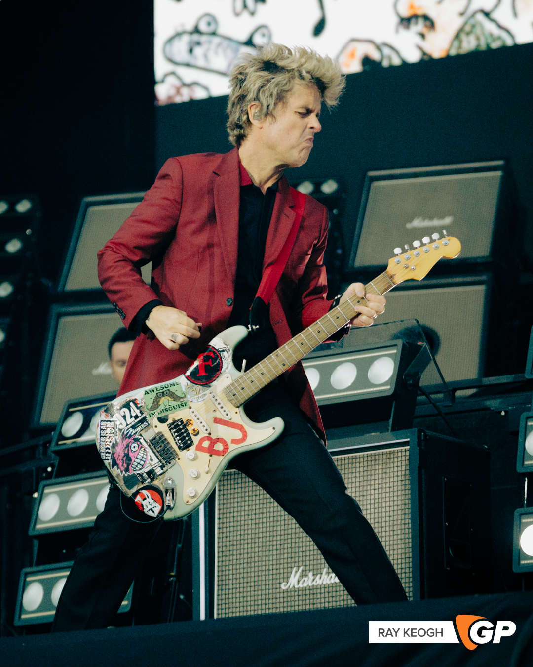 Green Day Marlay Park Photo by Ray Keogh