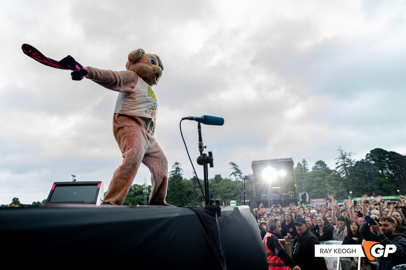 Green Day Marlay Park Photo by Ray Keogh