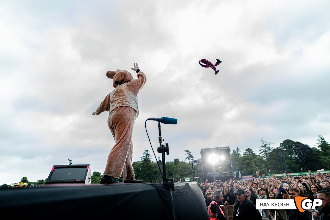 Green Day Marlay Park Photo by Ray Keogh
