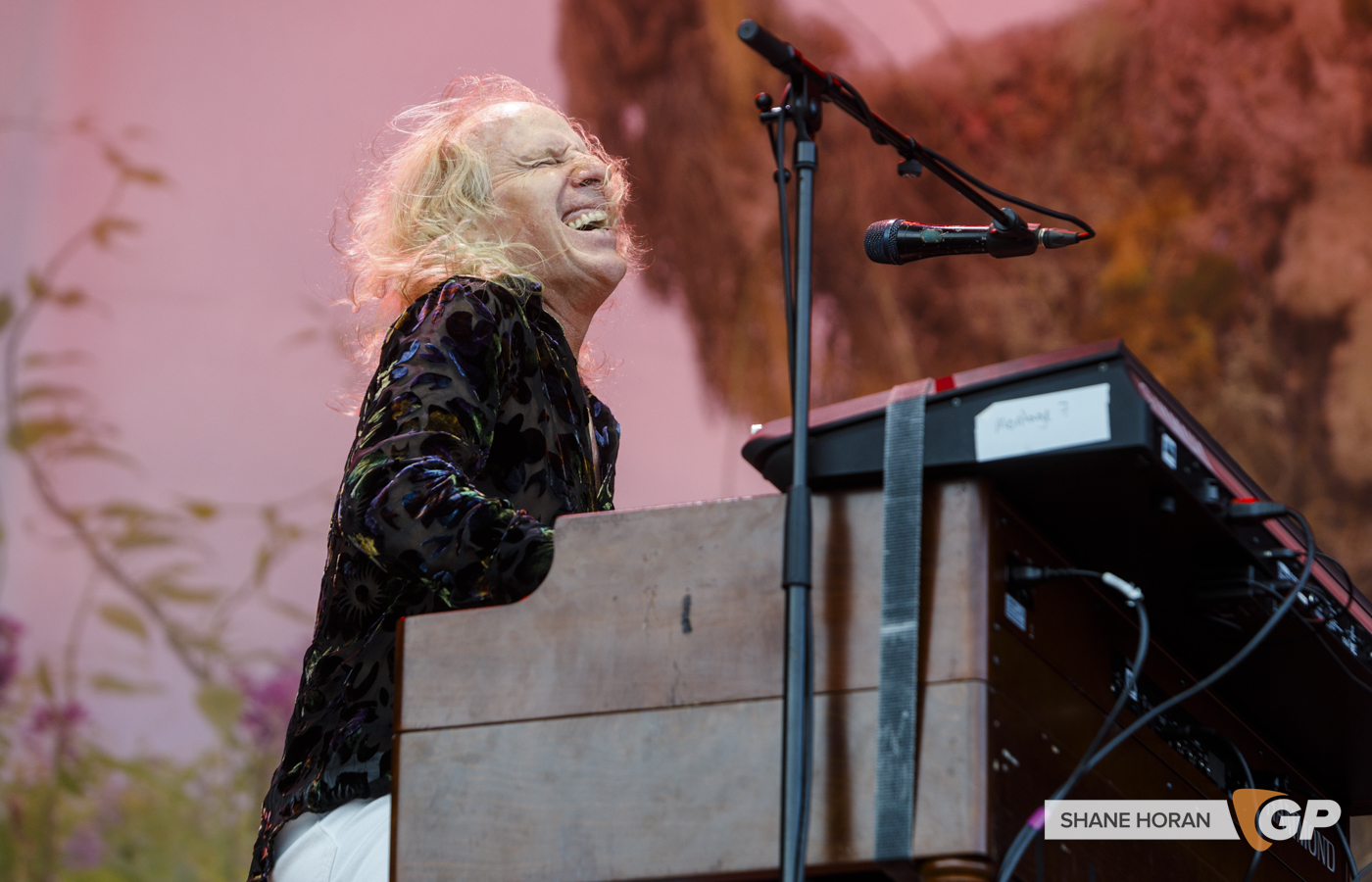 The Waterboys, Virgin Media Park Cork, Shane J Horan, 23-06-24-5