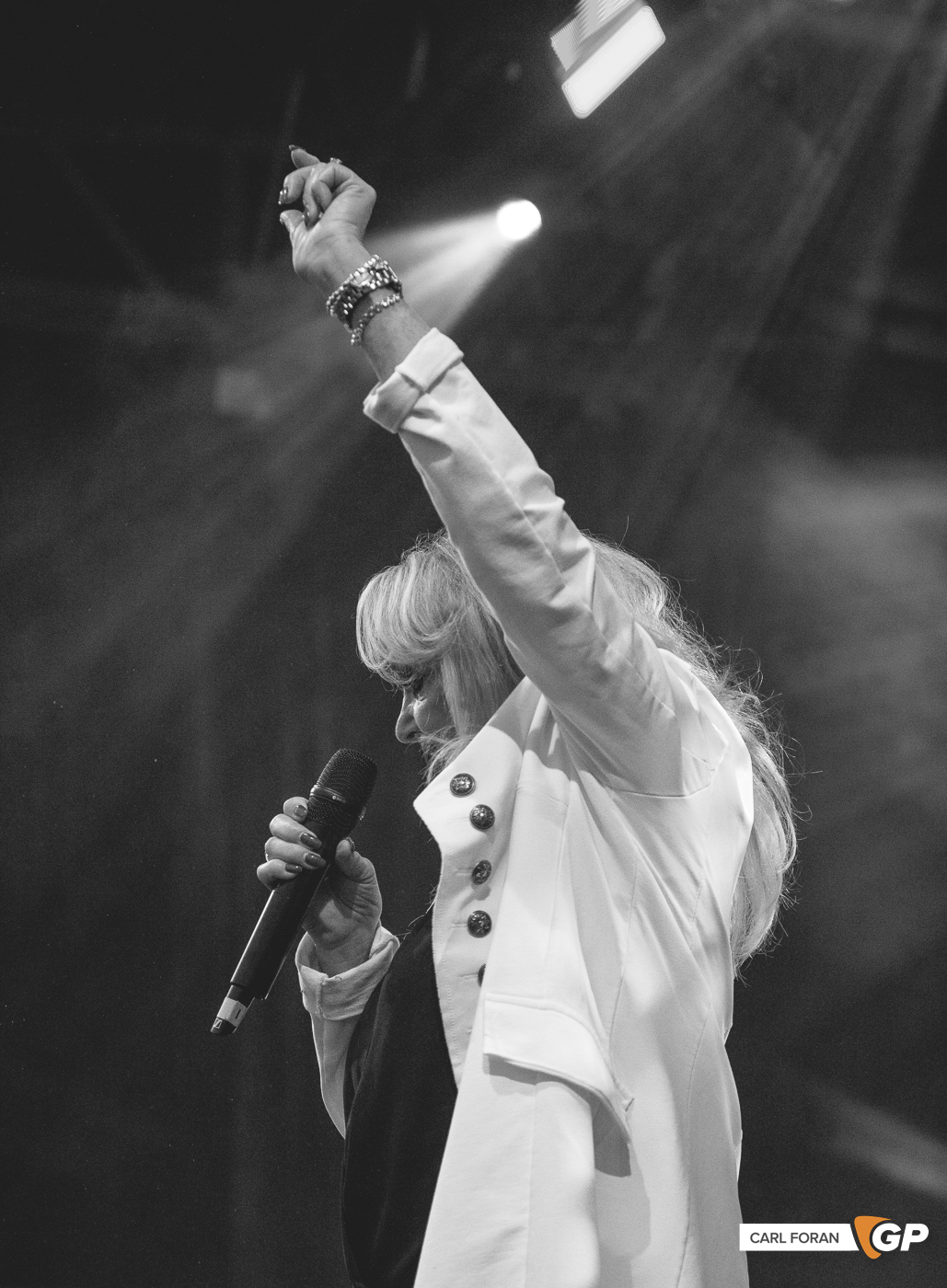 Bonnie Tyler Leopardstown racecourse -21