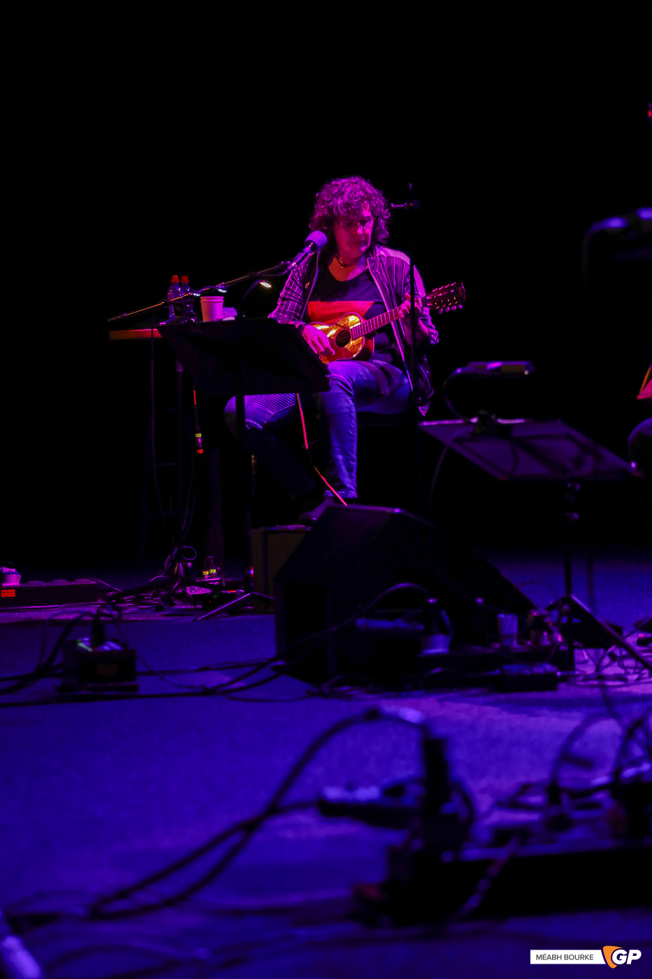 The Magnetic Fields at Vicar Street on 21 August 2024 by Méabh Bourke