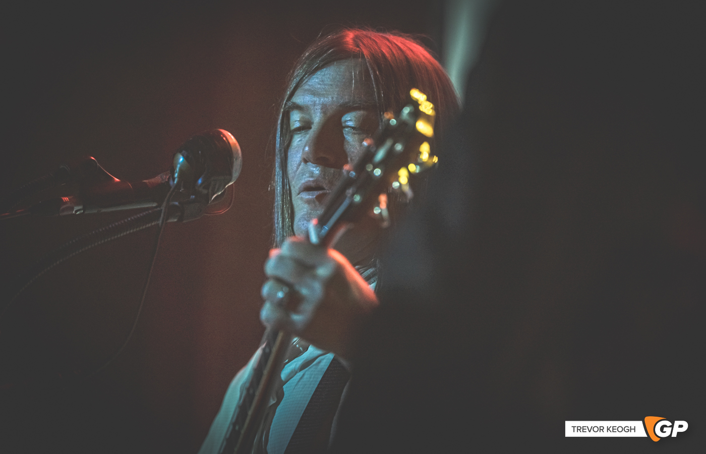 THE DANDY WARHOLS