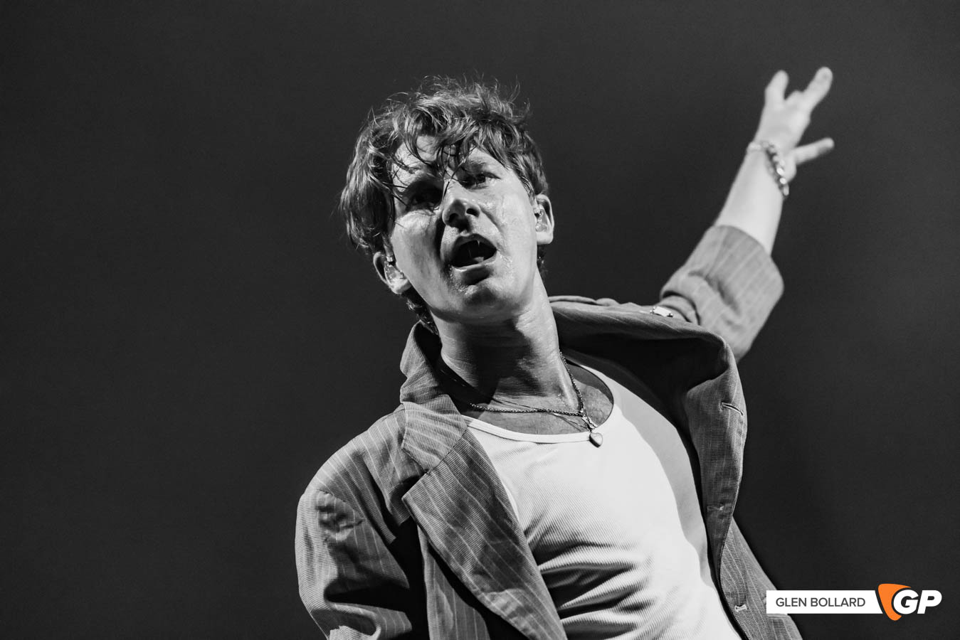 GlassAnimals