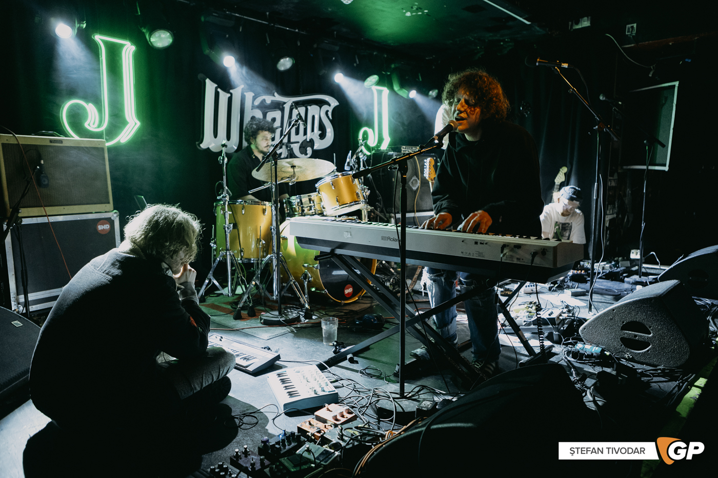 Echo Northstar WHELAN’S Ones to Watch 2025 Day 1 9 Jan 2025 Stefan Tivodar-8487