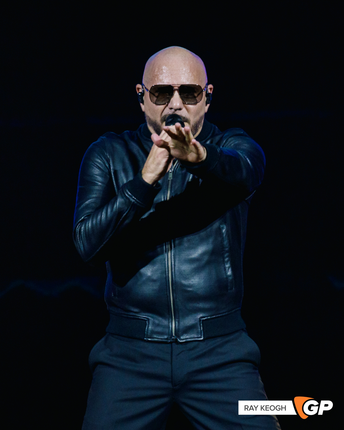 Pitbull 3Arena Photo by Ray Keogh