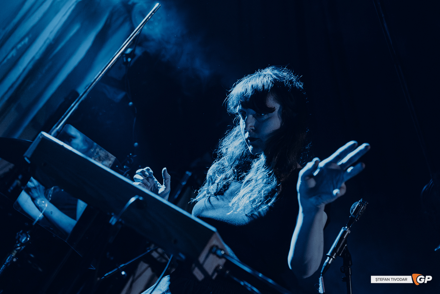 Cormorant Tree Oh The Grand Social 28 May 2025Stefan Tivodar–20