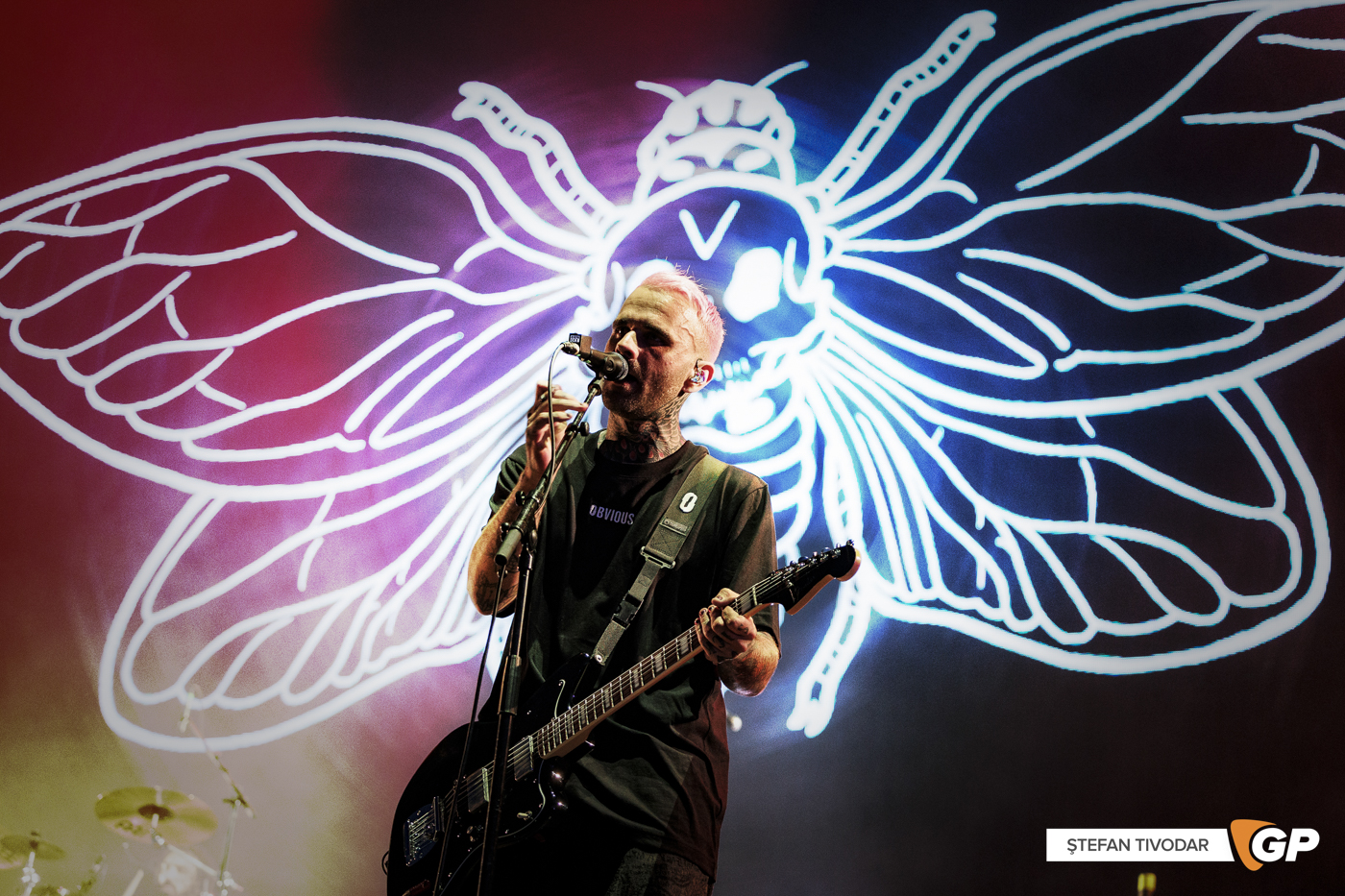 Landmvrks HF2024 Day 1 Stefan Tivodar-