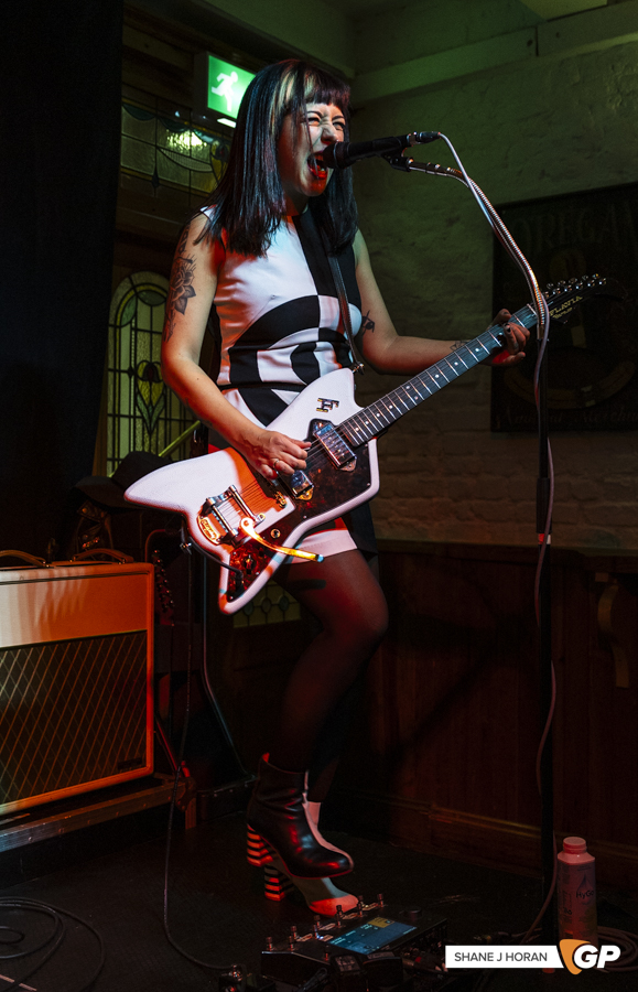 The Courettes, Windtrop Avenue, Cork, Shane J Horan, 02-05-25-11