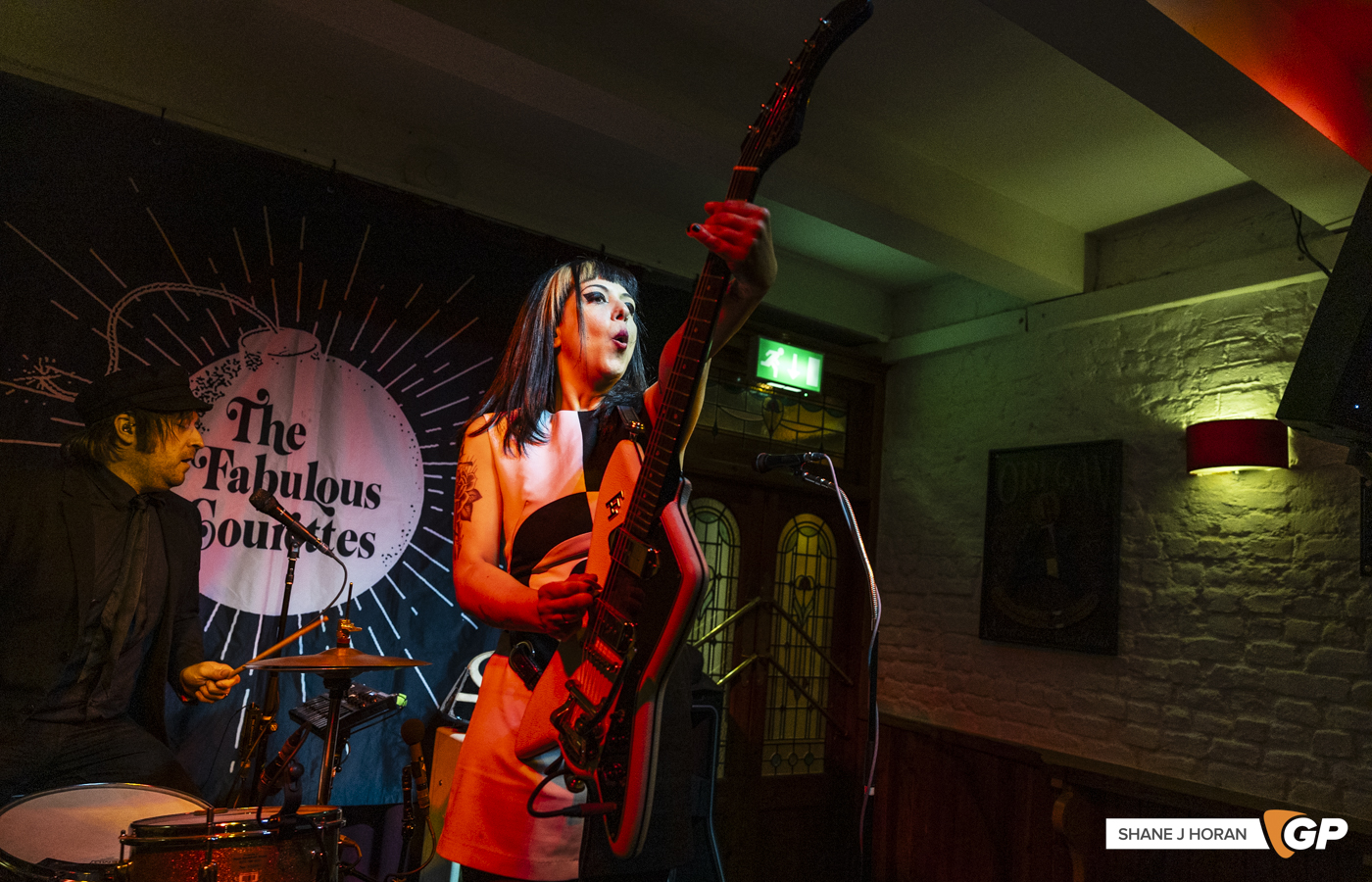 The Courettes, Windtrop Avenue, Cork, Shane J Horan, 02-05-25-7