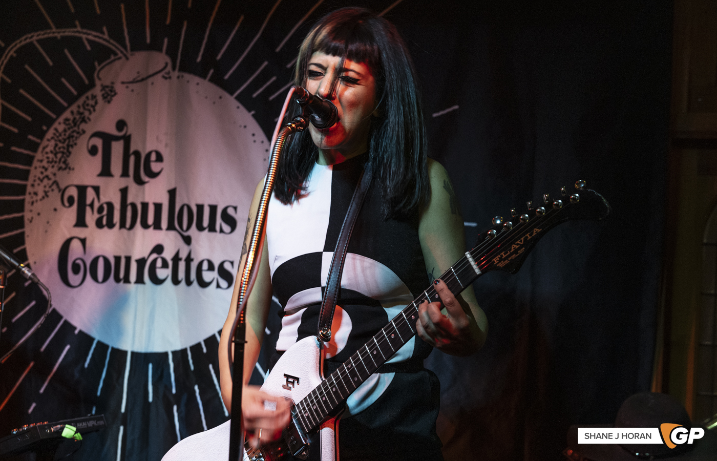 The Courettes, Windtrop Avenue, Cork, Shane J Horan, 02-05-25-8