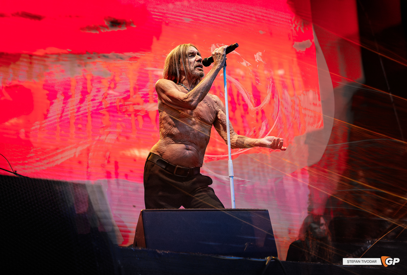 Iggy Pop In the Meadows RHK 7 June 2025 Stefan Tivodar–6