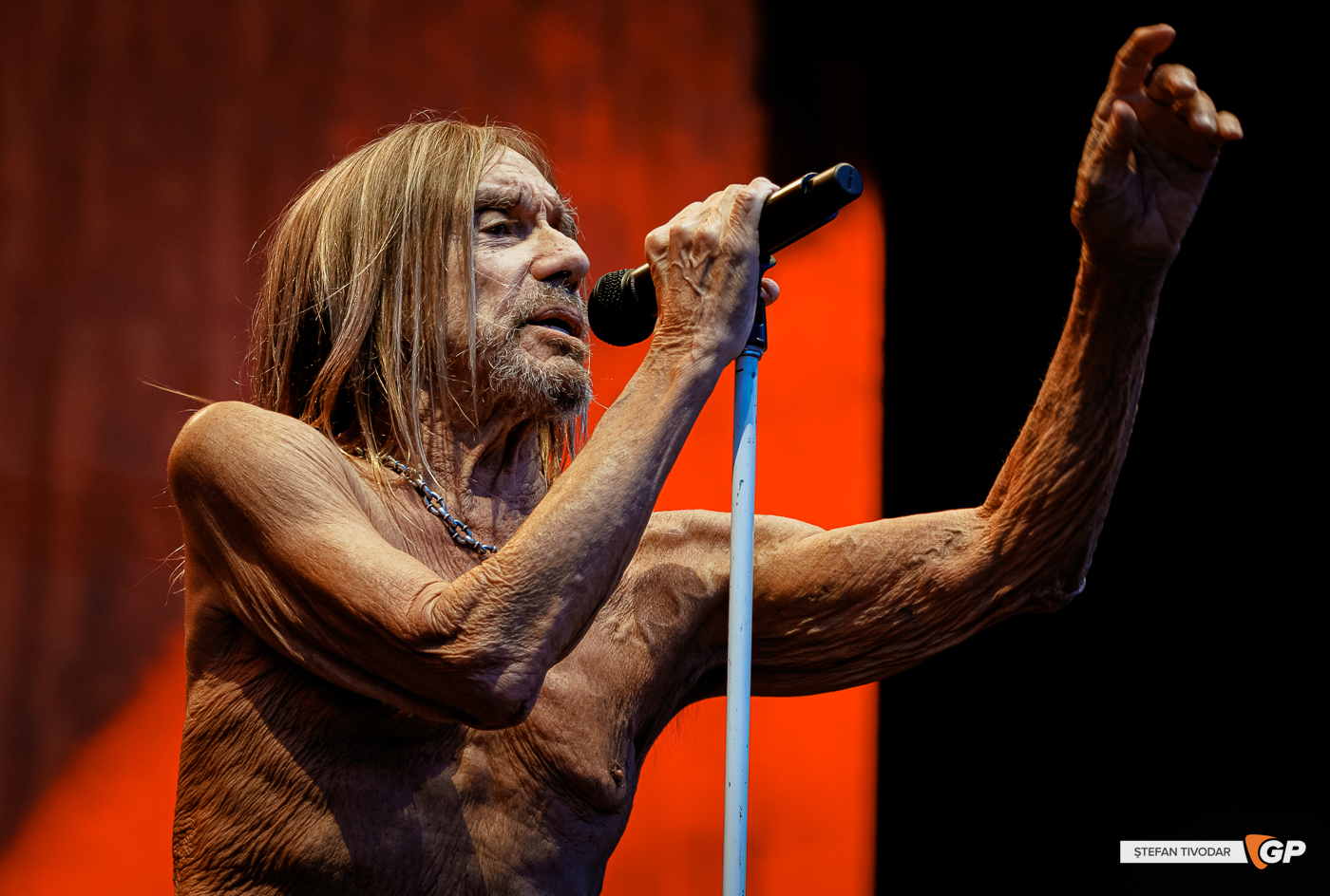 Iggy Pop In the Meadows RHK 7 June 2025 Stefan Tivodar-8854-2