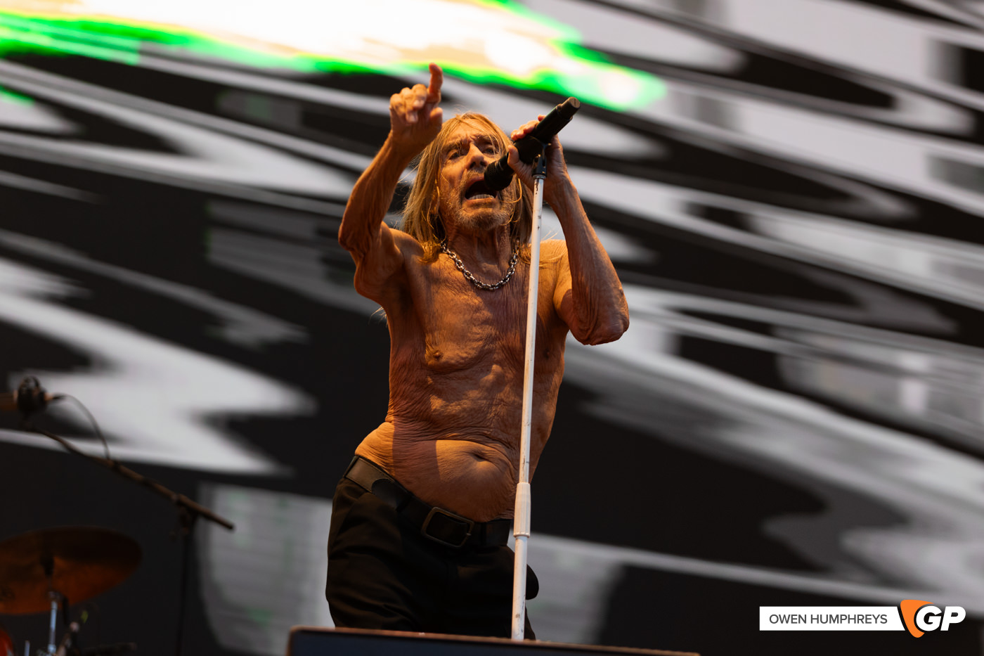 Iggy Pop at in The Meadows. Photo by Owen Humphreys www.owen.ie