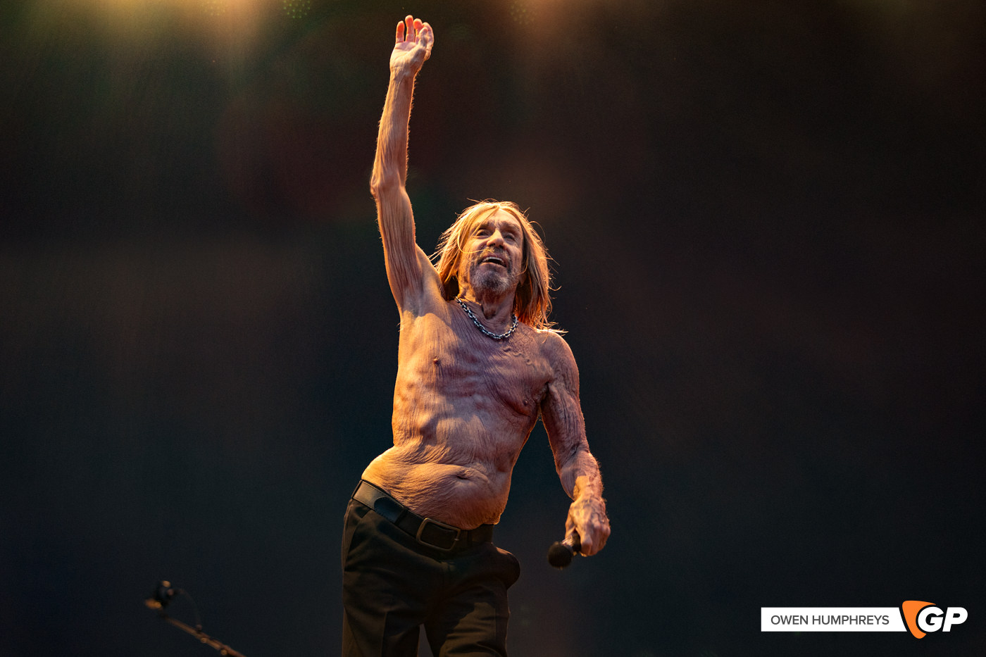 Iggy Pop at in The Meadows. Photo by Owen Humphreys www.owen.ie