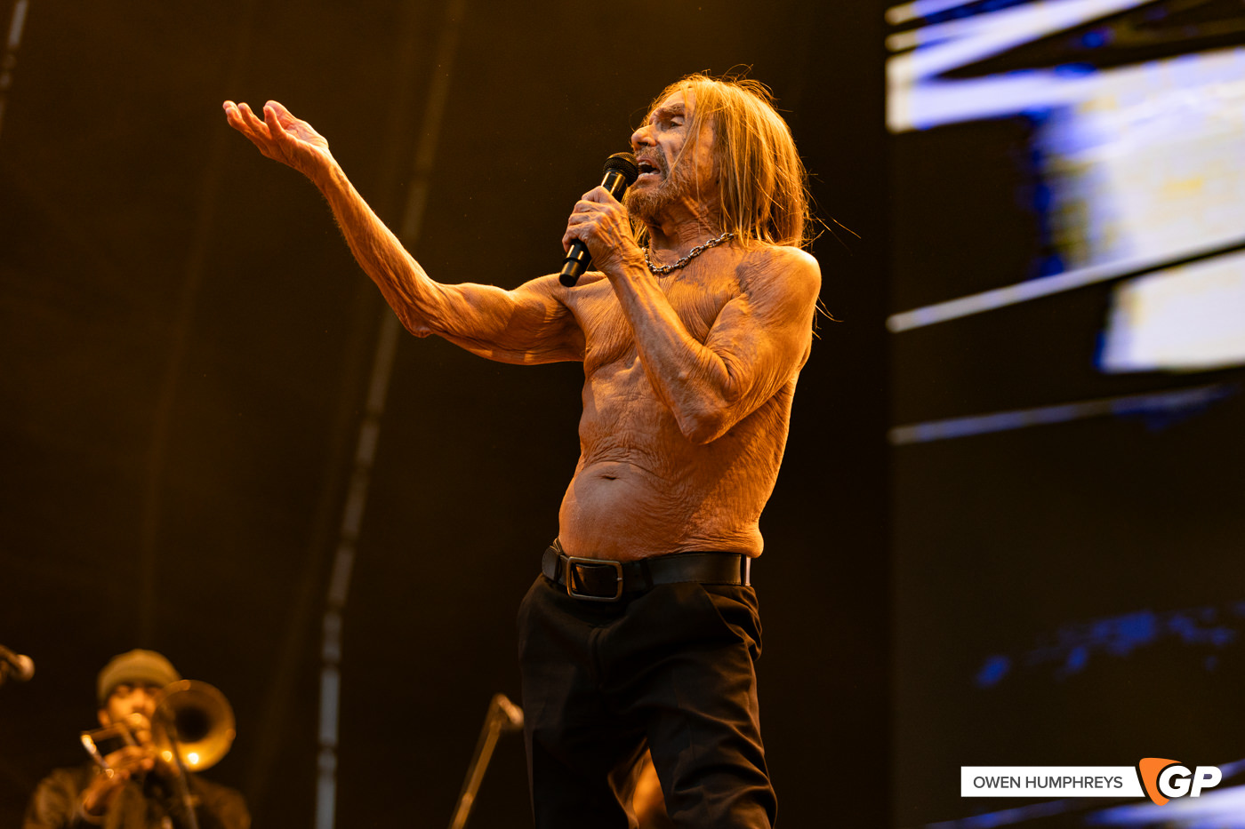 Iggy Pop at in The Meadows. Photo by Owen Humphreys www.owen.ie