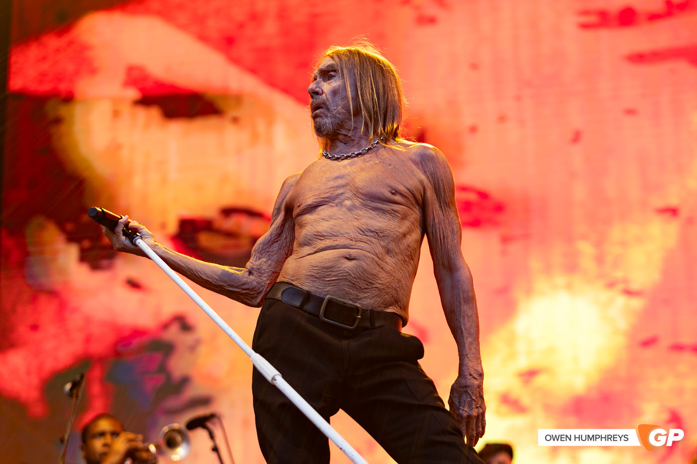 Iggy Pop at in The Meadows. Photo by Owen Humphreys www.owen.ie