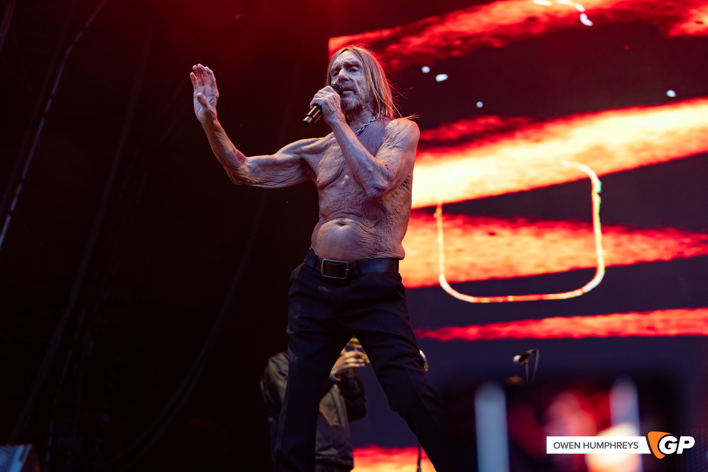 Iggy Pop at in The Meadows. Photo by Owen Humphreys www.owen.ie