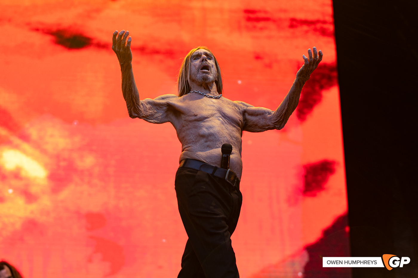Iggy Pop at in The Meadows. Photo by Owen Humphreys www.owen.ie