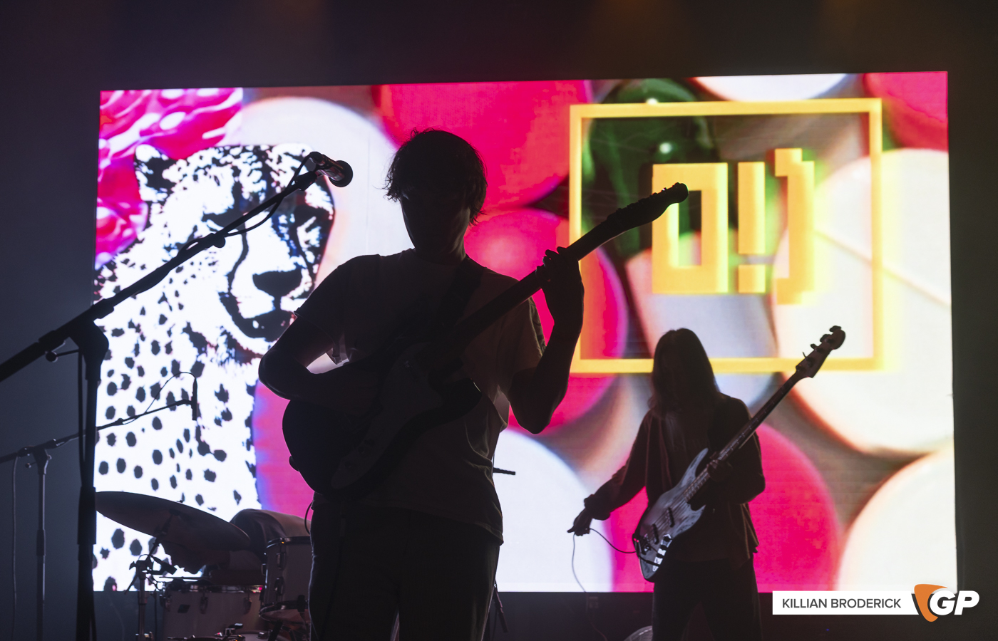 Panda Bear at The Button Factory by Killian Broderick-1
