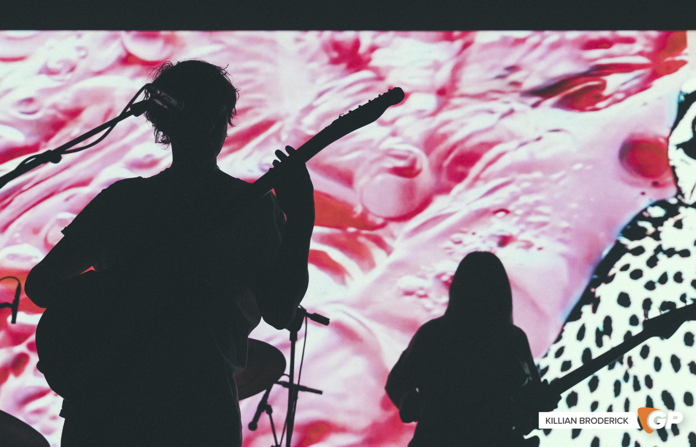 Panda Bear at The Button Factory by Killian Broderick-2