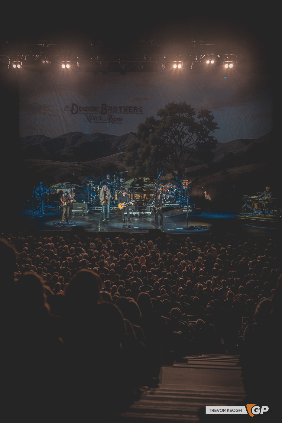THE DOOOBIE BROTHERS -517