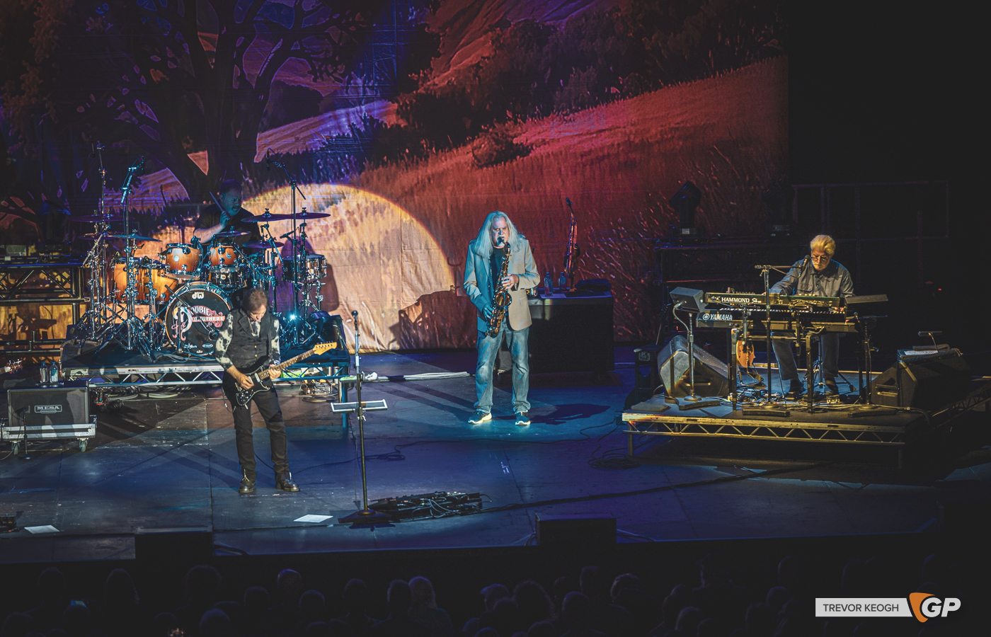 THE DOOOBIE BROTHERS -519