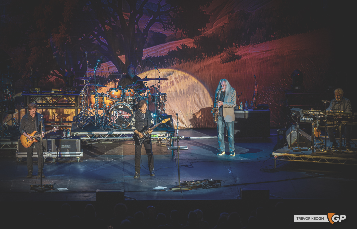 THE DOOOBIE BROTHERS -520