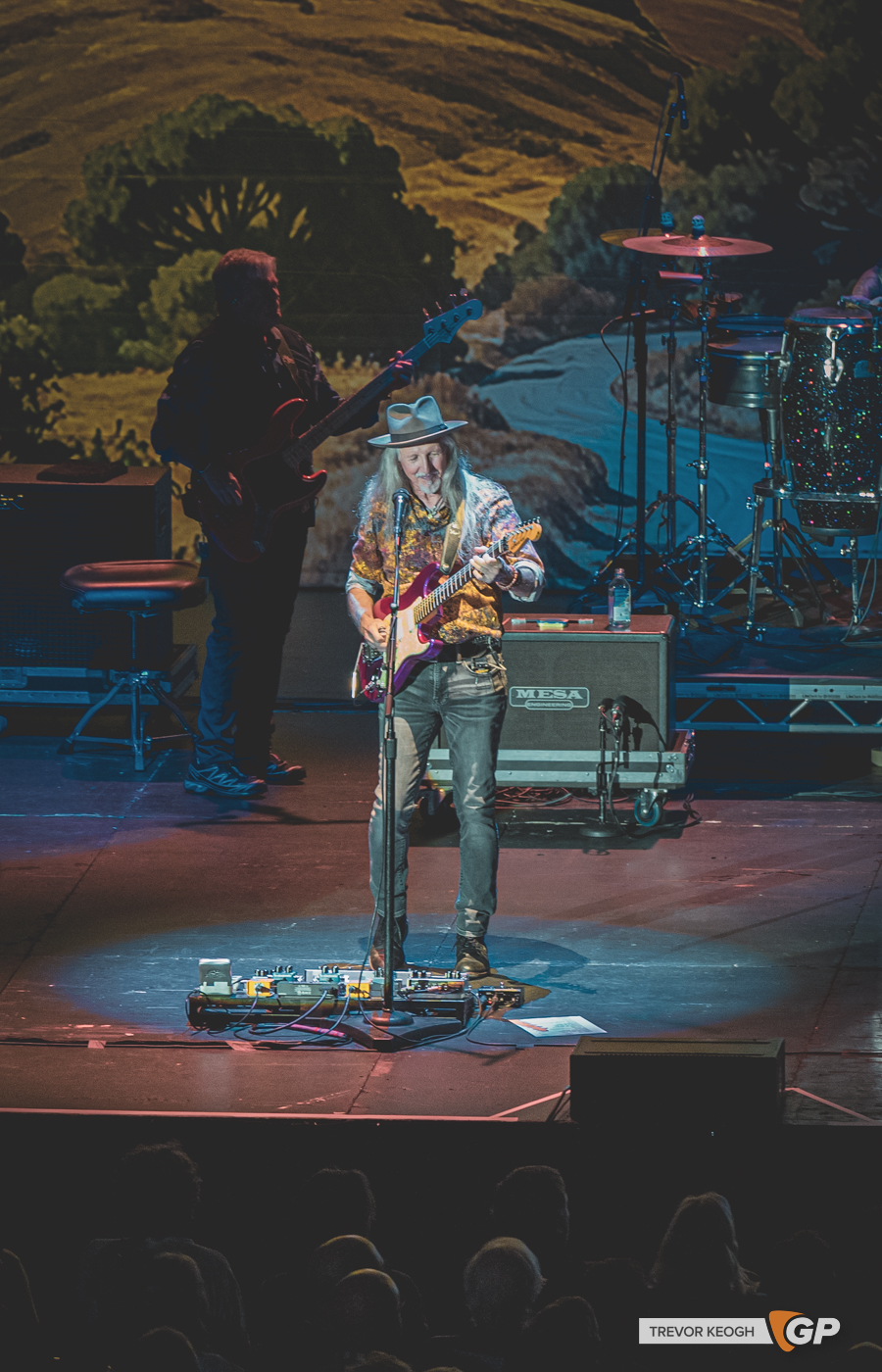 THE DOOOBIE BROTHERS -530