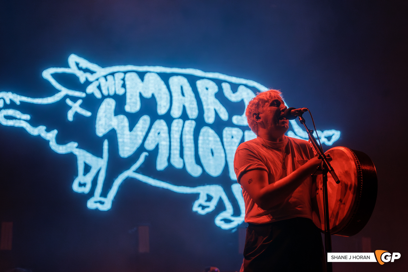 The Mary Wallopers, Live at the Marquee, Cork, Shane J Horan, 18-07-25-14