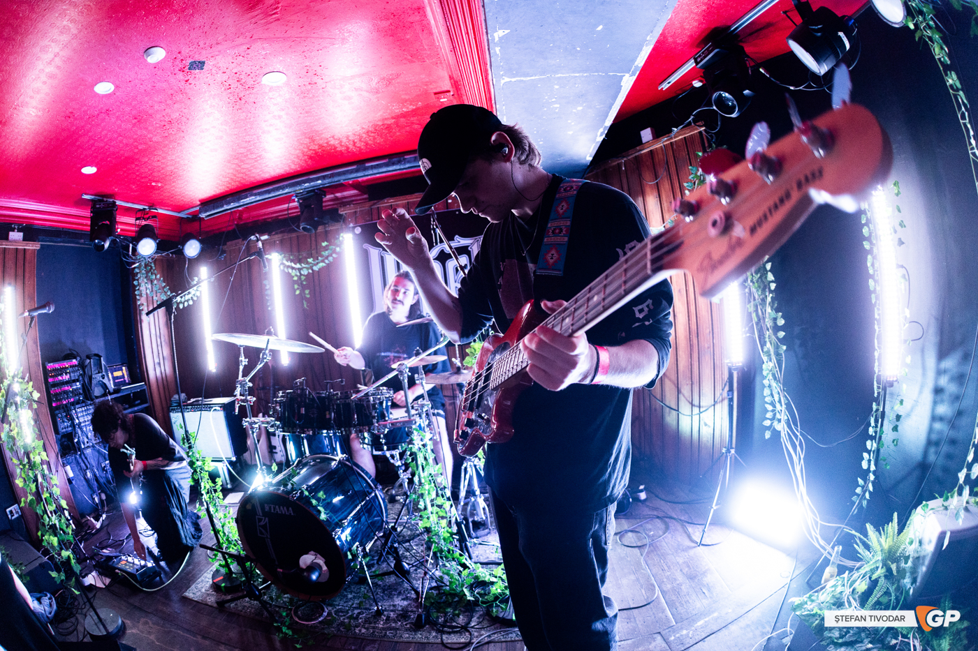 Silverglass Whelans 6 September 2025 Stefan Tivodar-7810