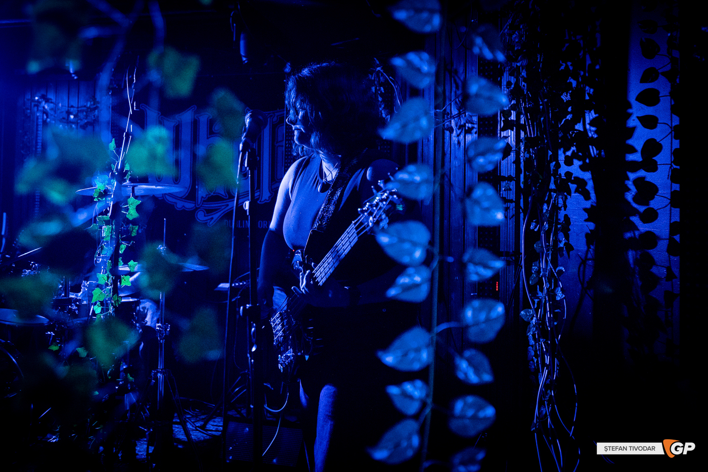 Therapy Horse Whelans 6 September 2025 Stefan Tivodar-6797