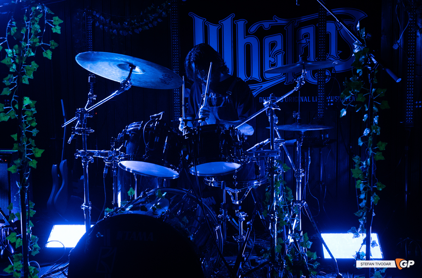 Therapy Horse Whelans 6 September 2025 Stefan Tivodar-6834