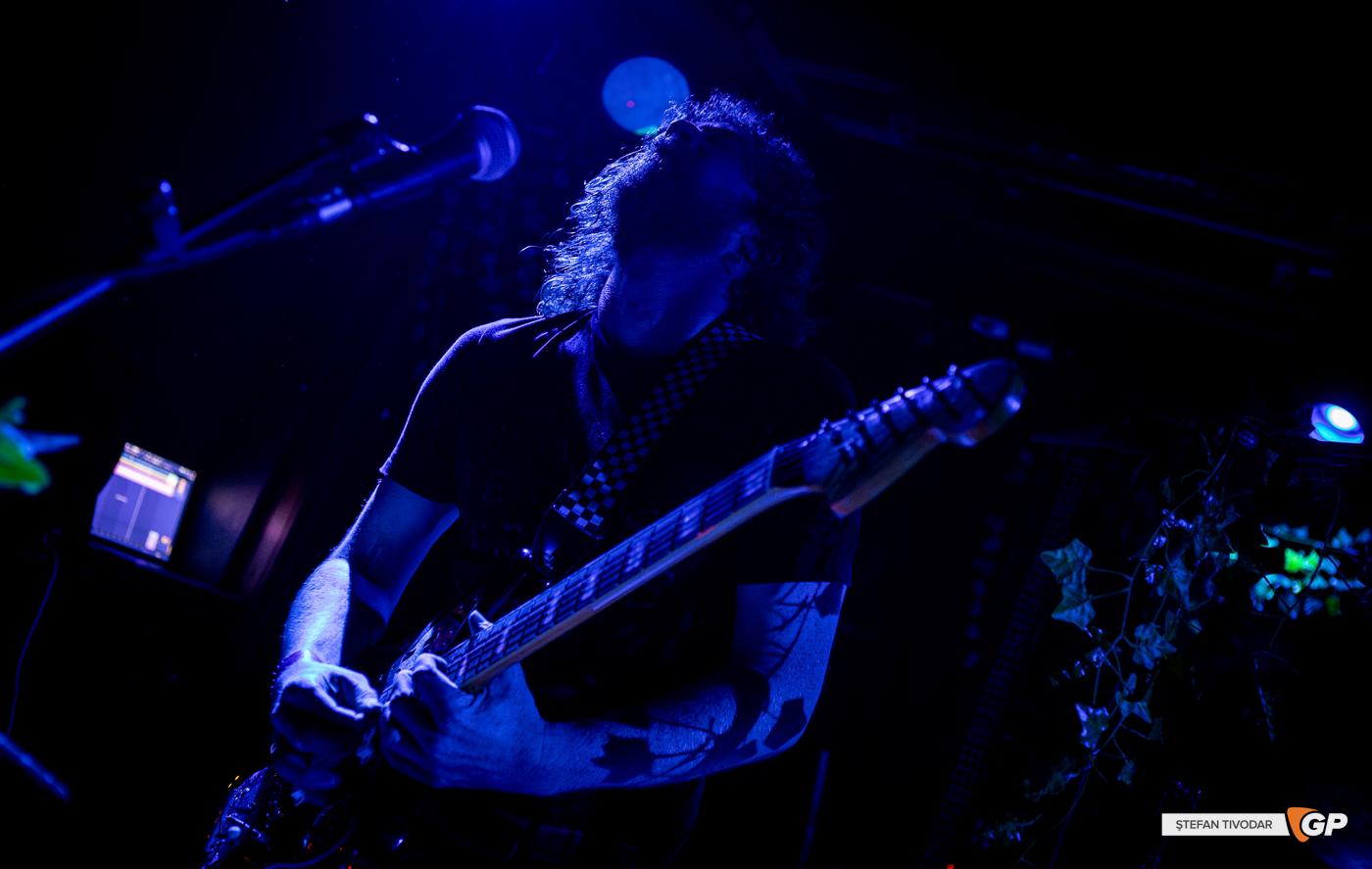 Therapy Horse Whelans 6 September 2025 Stefan Tivodar-7035