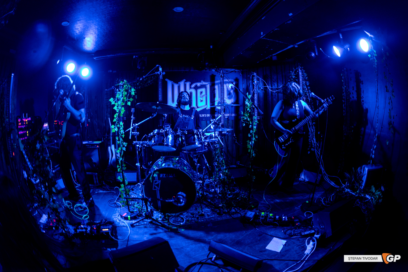 Therapy Horse Whelans 6 September 2025 Stefan Tivodar-7089