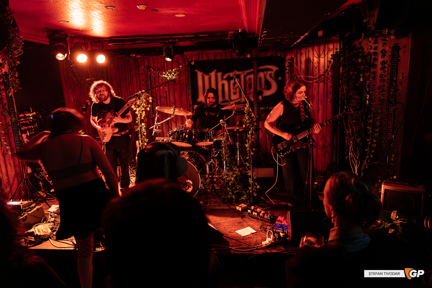 Therapy Horse Whelans 6 September 2025 Stefan Tivodar-7242