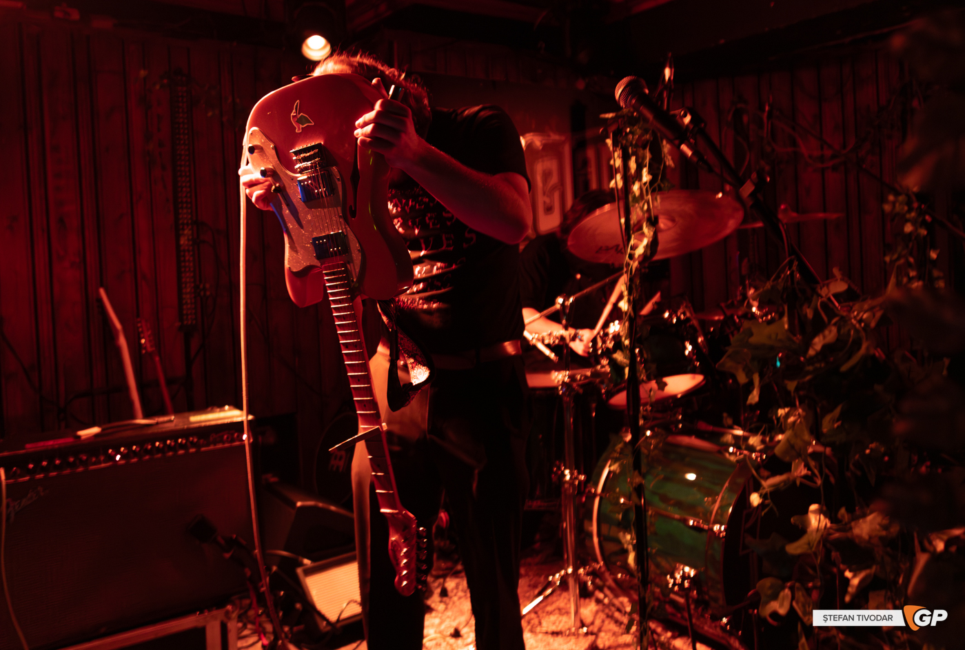 Therapy Horse Whelans 6 September 2025 Stefan Tivodar-7352