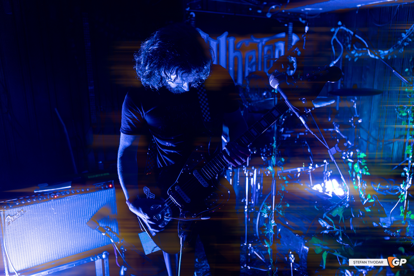 Therapy Horse Whelans 6 September 2025 Stefan Tivodar–8